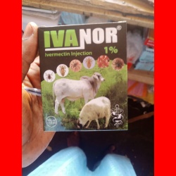 IVANOR